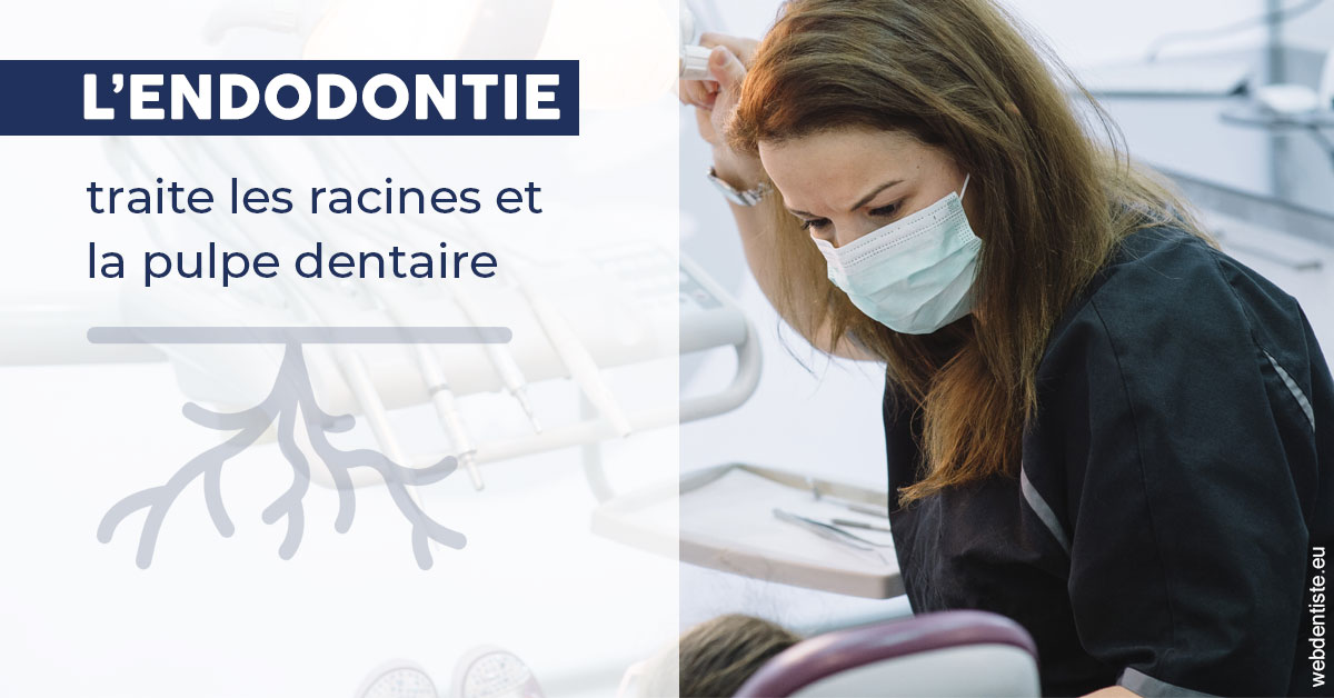 https://dr-goffoz-jf.chirurgiens-dentistes.fr/L'endodontie 1