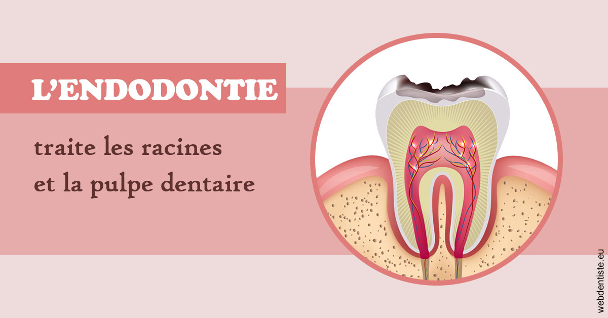 https://dr-goffoz-jf.chirurgiens-dentistes.fr/L'endodontie 2