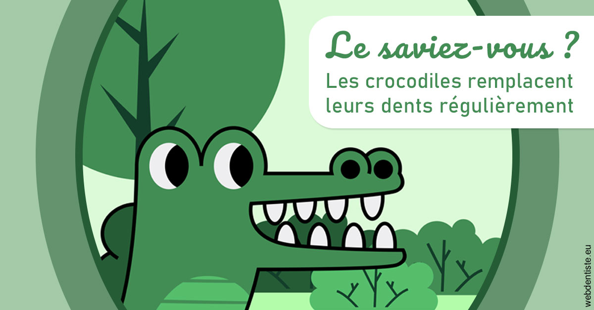 https://dr-goffoz-jf.chirurgiens-dentistes.fr/Crocodiles 2